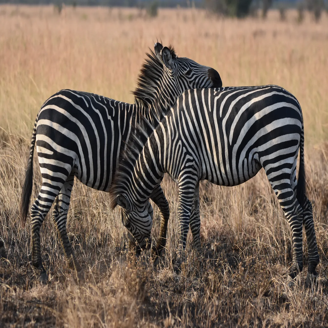 4-Day Mount Meru Trek